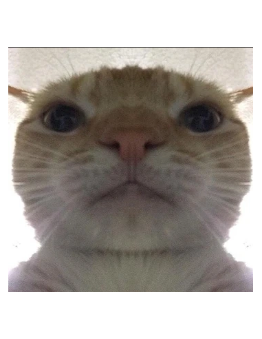 Katter